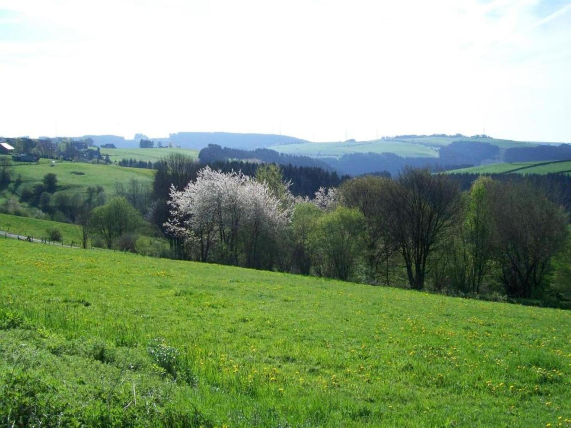 Holiday Home With Garden In Hellenthal Eifel Kültér fotó
